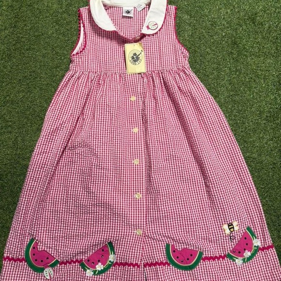 Dresses & Skirts - Pink gingham watermelon dress with white collar and buttons. Size: 10